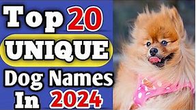 Top 20 Most Popular Dog Names in 2022 || Unique Dog Names ||| Dog Names