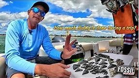 Fossil Junkies - Venice Florida Megalodon Fossil Shark Tooth Dive Charter