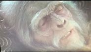Planet of the Apes (2001) Charlton Heston.