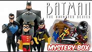 Batman: The Animated Series Mystery Box!!! Perfect figures for a perfect show!!!