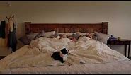 Sleep Boutique - Epic king bed - How Big is an Alaskan King Mattress