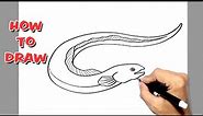How to Draw Eel || eel fish
