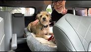 Adam Savage's One Day Builds: Car Seat Dog Bed!