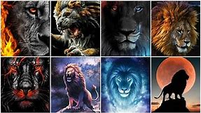 Attitude Lion DPZ/Wallpapers/images/photos/pics | Lion dp photos | Lion Wallpaper Image | Lion Photo