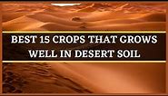 DESERT SOIL: BEST 15 CROPS THAT GROWS WELL IN DESERT SOIL | DESERT FARMING