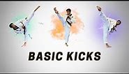 Taekwondo Basic Kicks