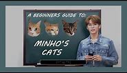 a beginner's guide to lee know's cats