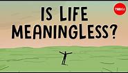 Is life meaningless? And other absurd questions - Nina Medvinskaya