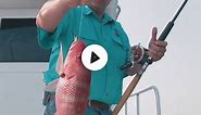 Types of Snapper in Florida: A Quick Guide