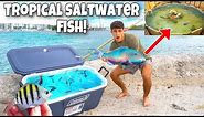 Catching TROPICAL COLORFUL FISH For My Saltwater POND!!