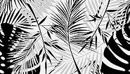 Black Tropical Peel and Stick Wallpaper Botanical Leaf Black Leaves Wallpapers for Bathroom Modern Palm Leaf Jungle Wallpaper 17.5''x315'' Removable Black Contact Paper for Cabinets Shelves