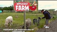 Visiting Apple Cast Farm North West,UK