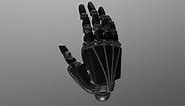 Robotic Hand - Download Free 3D model by Jack Ansell (@Jackal04)
