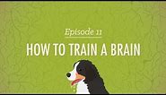 How to Train a Brain: Crash Course Psychology #11
