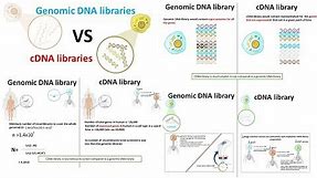 cDNA library vs Genomic DNA library
