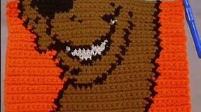 Scooby Doo 🧶 #crochet #crochetbeginners #crochettutorial #crocheting #crochetlove #scoobydoo