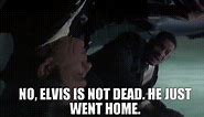 No, Elvis is not dead. He just went home.