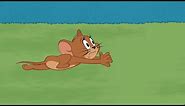 5 minutes of Tom & Jerry chasing each other 😝 | Chase compilation - Boomerang (ch. 302) | DStv
