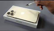 iPhone 14 Pro Max Unboxing & Camera Test | Gold Color