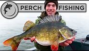 Catch more PERCH with these tips and tricks!