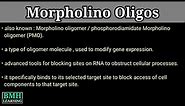 Morpholino Oligos | What Are Morpholinos |