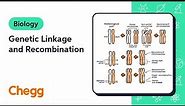 Genetic Linkage and Recombination | Biology
