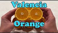 Valencia Orange | The Best Juicing Orange