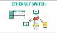 IT Support Tutorial - Ethernet Switch