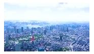 Aerial view of Tokyo city center