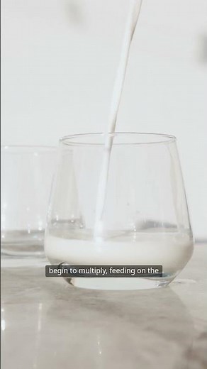 Why Milk Goes Sour – The Science Explained