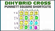 Dihybrid Cross Punnett Squares + MCAT Shortcut (Mendelian Genetics Part 2)