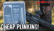 Shoot your AR for CHEAP | CMMG 22LR Conversion