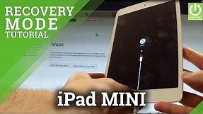 How to Enter Recovery Mode in APPLE iPad mini - Quit APPLE Recovery