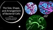 The Size, Shape, and Arrangement of Bacterial Cells
