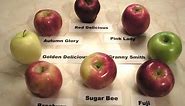 Apples 101 - About Cortland Apples