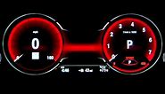 BMW Instrument Cluster Display - Driving Modes