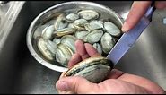 Shucking and cleaning the sand out of fresh Long Island steamer/soft shell clams