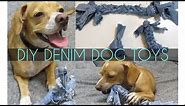 DIY Dog Chew Toys | SugarStilettosStyle