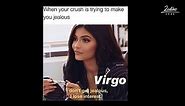 30+ Funny Virgo Memes That's Accurate AF!