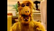 Alf laughing