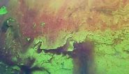 Glitter Fluid Marble Texture Ink Water Green Paint