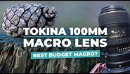 Is This the Best Budget Macro Lens You Can Get?