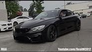 Blacked Out BMW M4 - Walkaround