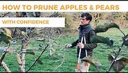 How to Prune Apple & Pear Trees With Confidence