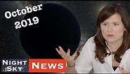What if Planet 9 was a primordial black hole? Could we detect it? | Night Sky News October 2019