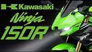 2022 Kawasaki Ninja 150R First Overview | Mich Superbike
