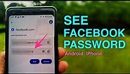 How To See Your Facebook Password If You Forgot it | Find FB Password