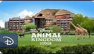 Disney’s Animal Kingdom Lodge | Walt Disney World