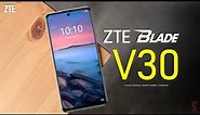 ZTE Blade V30 Official Look, Price, Camera, Design, Specifications, Features