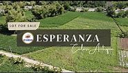 Residential Lot For Sale Esperanza Culasi Antique